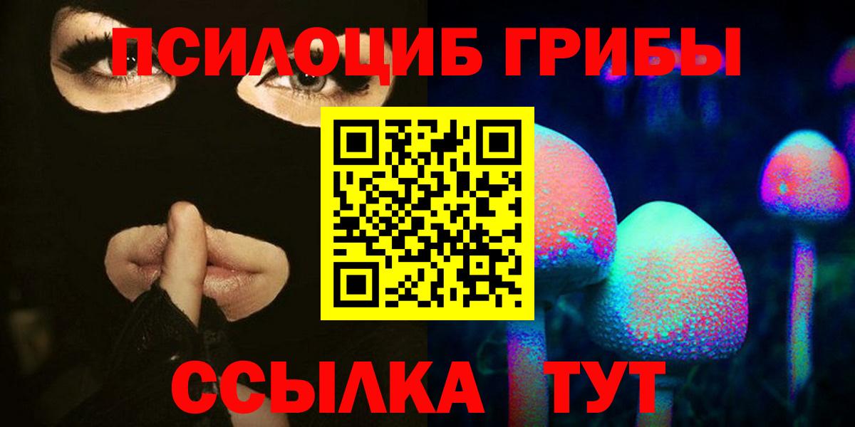 Псилоцибиновые грибы Psilocybine cubensis  Вход с VPN  Тында 