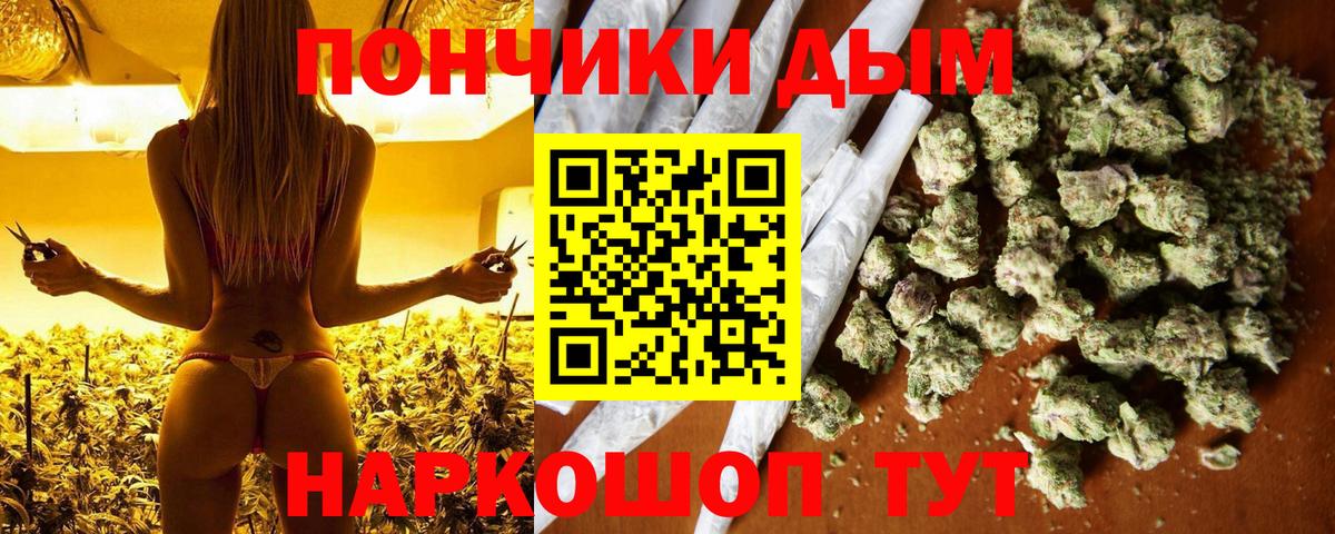 Каннабис тримм  Марихуана тримм  Вход с VPN  Конопля Bruce Banner  Тында 